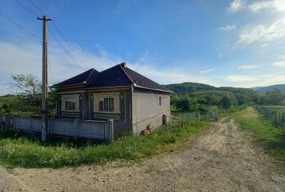 Casă cu 3 camere cu Teren 1000 Mp în Rusu de Sus - 9