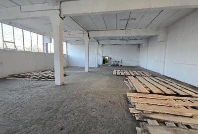 Spațiu comercial, de 950 mp, în Pictor Rosenthal - 4
