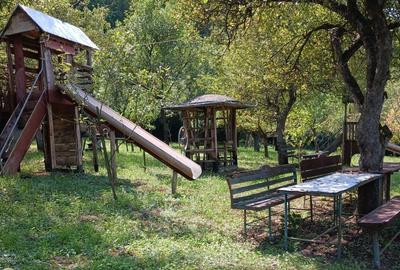 Proprietar-vand cabana cu livada teren mare-Stejeris-locatie deosebita - 1