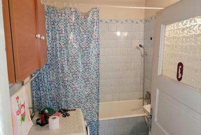 Casă individuală cu 3 camere cu Canalizare în Plevnei - 10