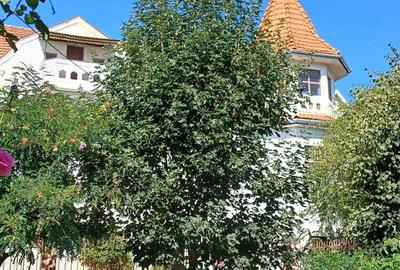 Casă cu 3 camere cu Teren 200 Mp în Reghin - 3