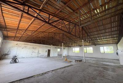 Vanzare complex industrial *hala 682 mp + teren 2,5 ha* - Tetila - 6