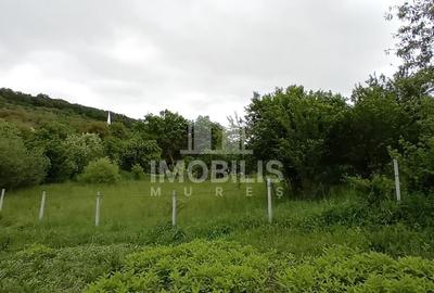 Teren intravilan | Budiu Mic | 994 mp - 4