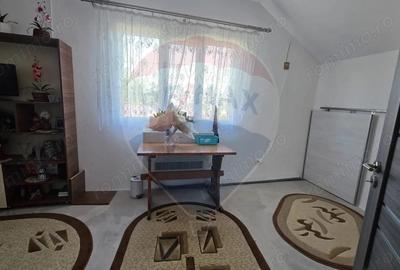 Casa / Vila cu 4 camere de vanzare - 15