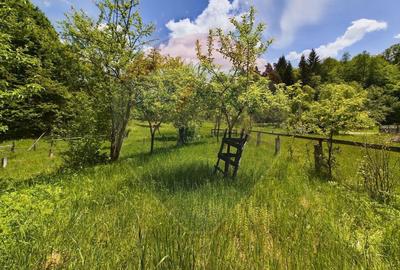 Comision 0%! Proprietate in natura, priveliste superba, S... - 5