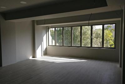 Inchiriere spatii birouri - de la 250 mp - Zona Timpuri Noi - 2