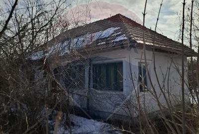 Casă cu 2 camere cu Teren 2596 Mp în Dridu - 1