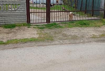 Casă cu 3 camere în Catanele - 1