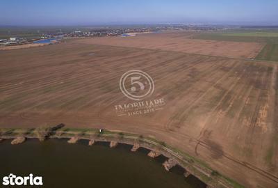 Teren de 17500 mp, în Vasilați - 10