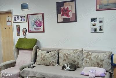 Vanzare Garsoniera Poiana Tapului - 3