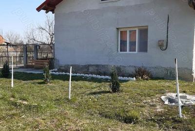 Vand urgent casa renovata in Bethausen cu gradina mare - 4