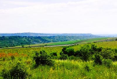 28.554 mp TEREN EXTRAVILAN, TURDA - SĂNDULEȘTI, jud. CLUJ, 300 m de AUTOSTRADA - 6