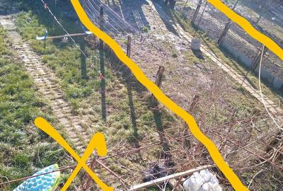 Tarnaveni Bozias Apartament 60metri cu pod60metri si balcon 300metri garaj teren44000euro - 3