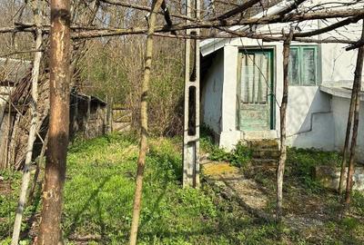 Casă cu Teren 2000 Mp în Dealu Morii - 1