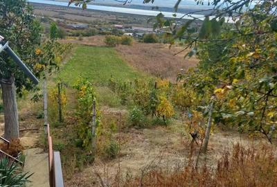 Teren Tileagd Bihor - 5