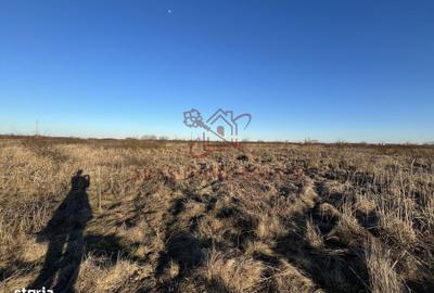 Spațiu comercial, în Central - 2
