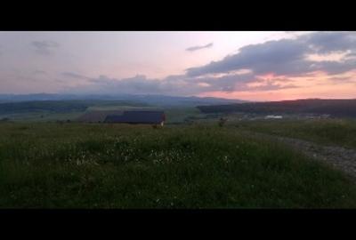 Casă individuală cu 3 camere cu Teren 2000 Mp în Ciurila - 2