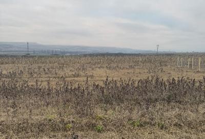 Teren cristur hunedoara parcele 500, 1000, 1500 mp - 3