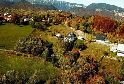 Casă individuală cu 5 camere cu Teren 3400 Mp în Peștera - 2