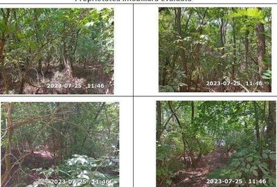 Teren extravilan padure, cota parte de 1/48 Horgesti, ID: R2325836 - 7