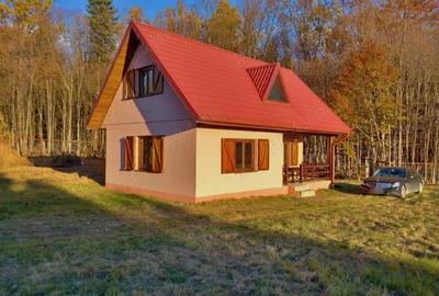 Casă cu 2 camere în Horodnic - 1