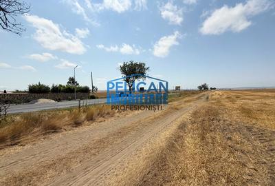 Teren Construcții intravilan de 4000 mp, în Mihail Kogălniceanu - 6