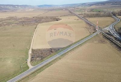 Teren de 19319 mp, în Hoghilag - 10