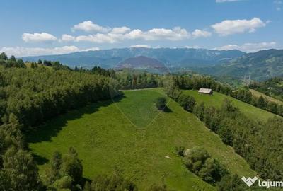 Teren de 15345 mp, în Șimon - 11