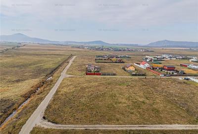 Teren 1000 mp Harman - 4