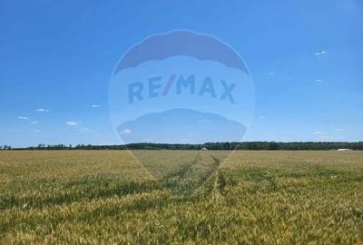 Teren intravilan 4,100 mp, fs 18 ml si 2222 mp fs 16 ml Peris IF - 1