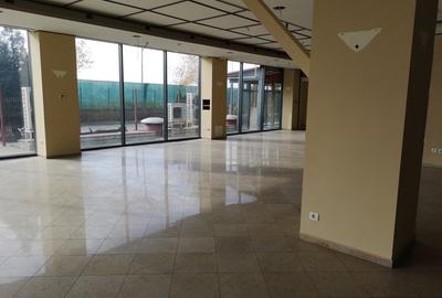 PIPERA-Porsche inchirieri/vanzari spatii cladire clasa A 200 mp-15000 mp - 18