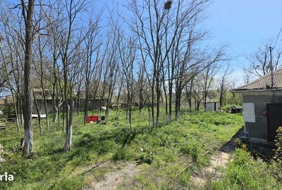 Spațiu comercial, în Sibioara - 6