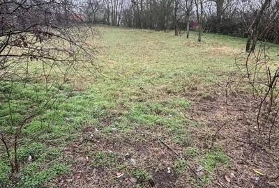 Casă cu 5 camere în Roșiori - 1