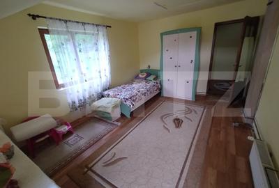 Cabana 3 cam,2 nivele 100 mp+teren extravilan 2,5 ha+1 ha padure,zona Nasaudului - 4