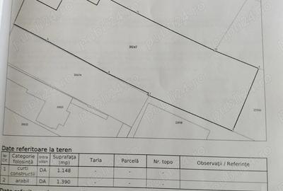 Casă cu Teren 2538 Mp în Smirna - 4