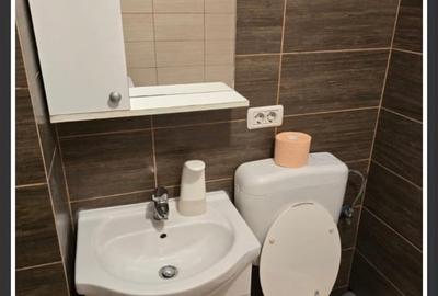 Garsonieră semidecomandată în Roșu - 8