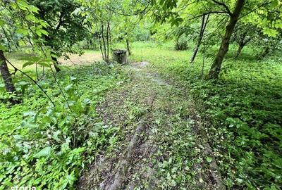 Teren de 1000 mp, în Provița de Jos - 4