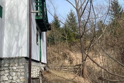 Casă individuală cu 3 camere cu Teren 800 Mp în Dâmbovicioara - 3