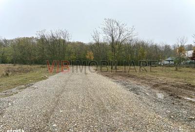 Spațiu comercial, în Ciofliceni - 6