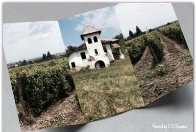 Teren de vanzre in Pitesti 53.000 mp + Conac Boieresc - 19