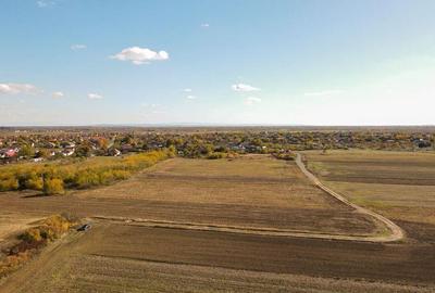 Bucovat - Lot Intravilan 2.27 Ha, PUZ inceput, Rezidentia... - 6