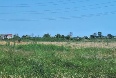 EFORIE NORD  TEREN DE 1.666 MP PRET 135.000 EURO - 16