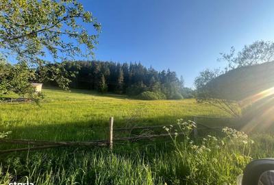 Teren de 500000 mp, în Ciocănești - 2