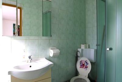 Garsoniera de inchiriat | Zona Centrala - Iuliu Maniu - 9