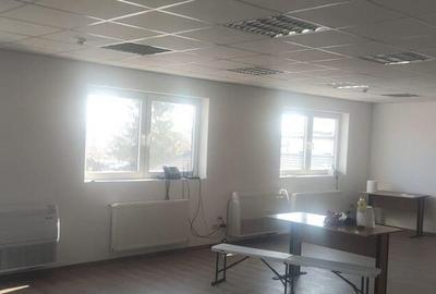 Hala zona de nord Buftea - 3