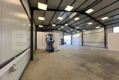 Hala 290,6 mp si 1263 mp teren, zona Carcea - 7