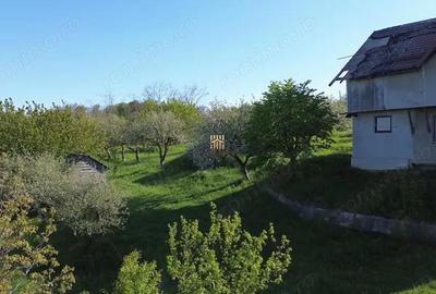 Teren 4800 mp cu Livada si Casa Nefinalizata - Adancata! - 8