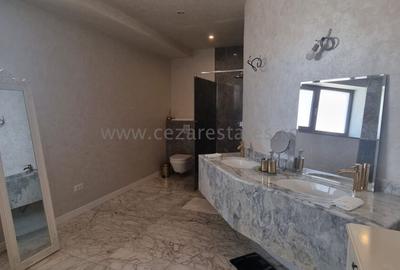 PIPERA IANCU NICOLAE VILA LUX RENOVATA COMPLET 2022 - 59