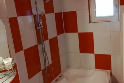 Apartament 2 camere zona Calea Bucuresti - 3