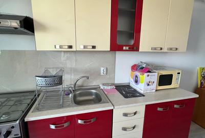 Apartament cu 2 camere, mobilat în Copou - 16